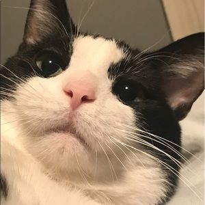 Meet your Posher, Walter